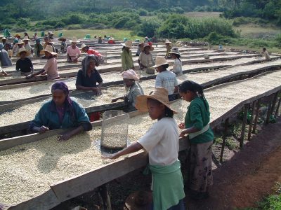 Ethiopia Coffee Corps coffee washing station