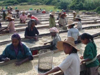 ACDI/VOCA ethiopia agp amde coffee washing station