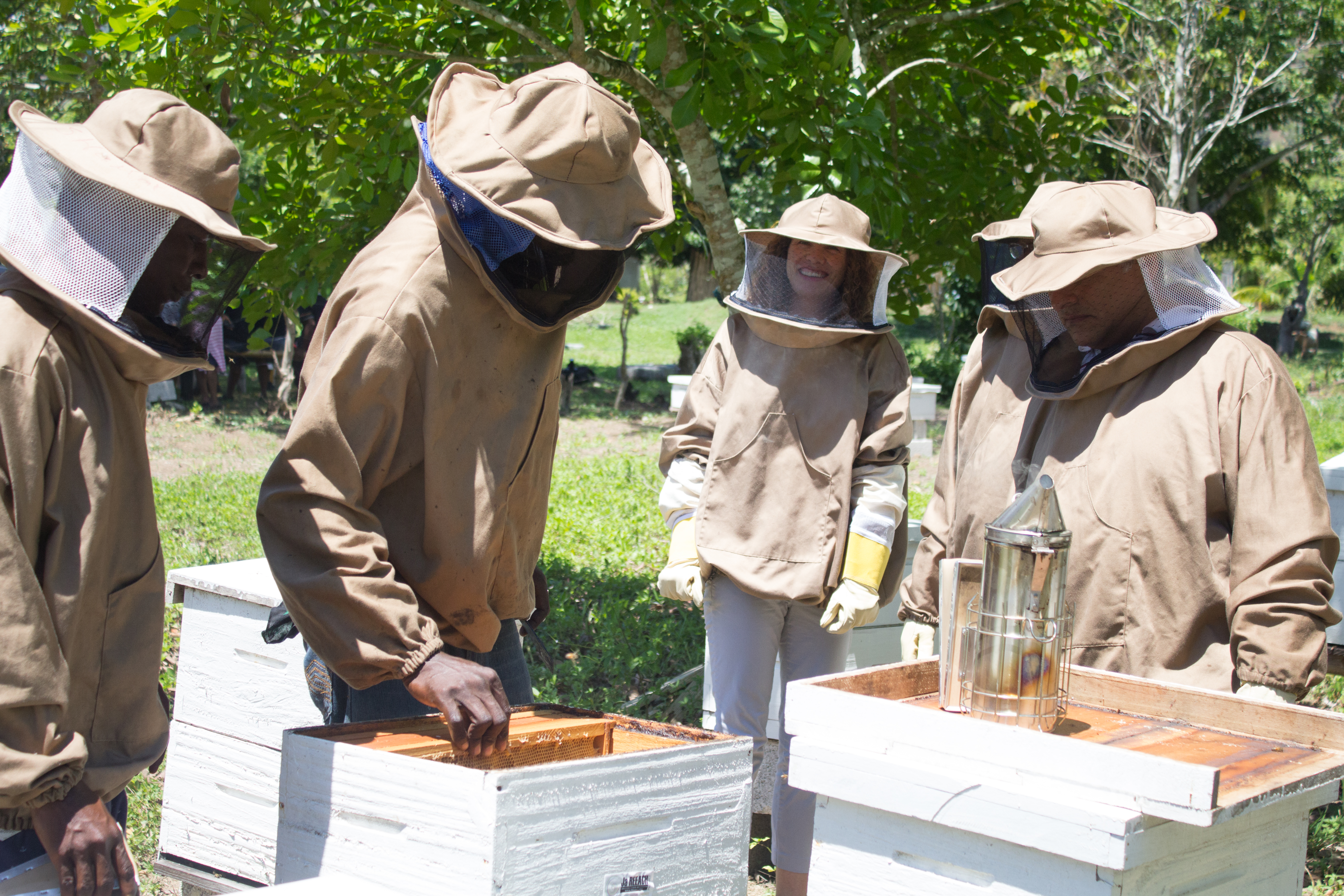 Jamaica Ja REEACH beekeeping