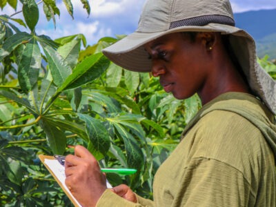 Jamaica Ja REEACH II agriculture