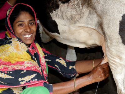 Bangladesh_LPIN_woman milking cow