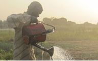 man watering his crops