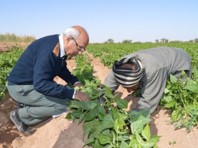 Dr. Fayek Saweris on a technical visit