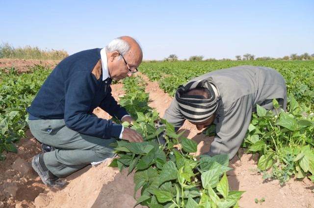 Dr. Fayek Saweris on a technical visit