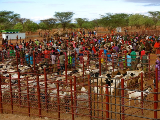 ACDI VOCA VGwinner USAID Kenya Livestock Market