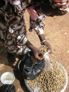 This picture shows the woman's entrepreneurship and determination to improve her livelihood and care for her family. On her back she is carrying her baby She has both boiled peanuts in the large basin and roasted peanuts in the black plastic bag. She is using a small scoop to measure the quantity, 50 centimes for one scoop and one CFA for two. She also has little clear plastic bags to package the product for each customer with her money tray on the ground for making change. She was marketing at one of the Office de Niger stations along the route of the irrigation canal where our project is operating. She represents both the entrepreneurialism of women in the Malian society and the type of microfinance client we are helping microfinance institutions to reach with expanded products and services. In time, she might expand her business to provide food to workers, perhaps setting up a kiosk and hiring other women to help. By providing options, we seek to increase the choices she and thousands of other like her have.