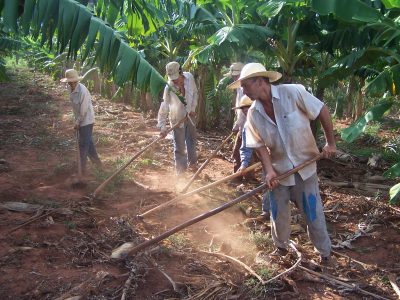 Farmers at work in Paraguay