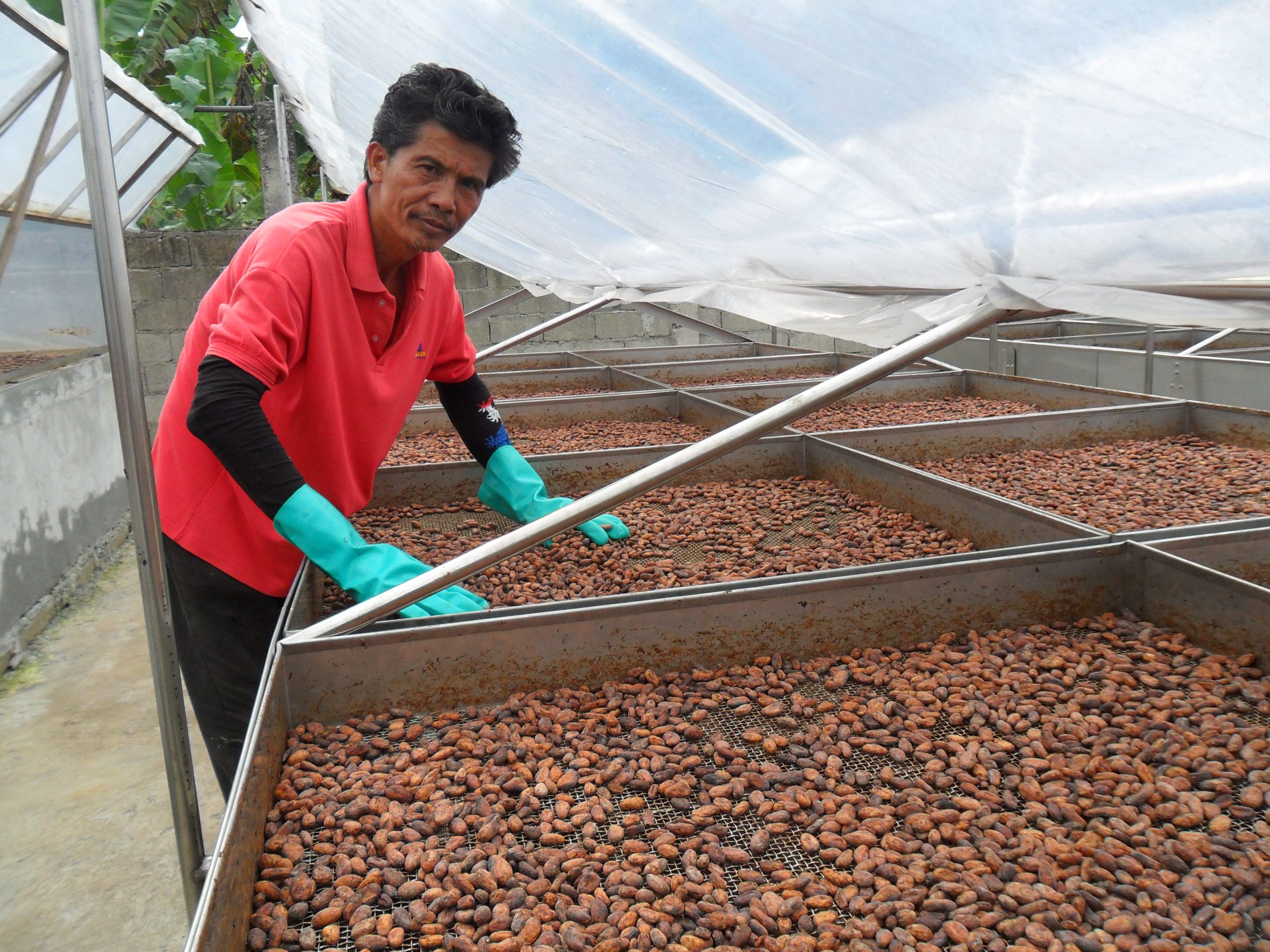 Philippines minPACT Cocoa