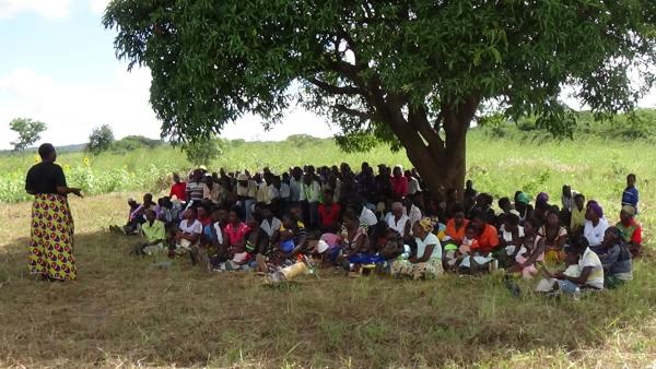 smallholder farmers at field day in Zambia