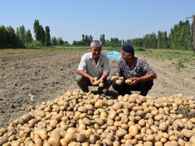 Kyrgyzstan AgroHorizon potato farmers