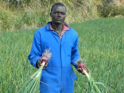 Zambia Profit+ Farmer