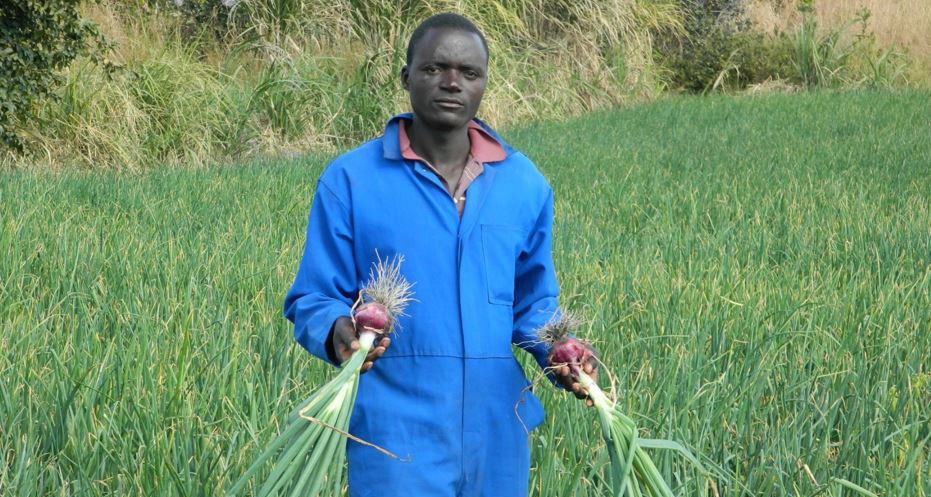 Zambia Profit+ Farmer