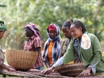 AGP-AMDe Ethiopia video, Feed the Future, USAID