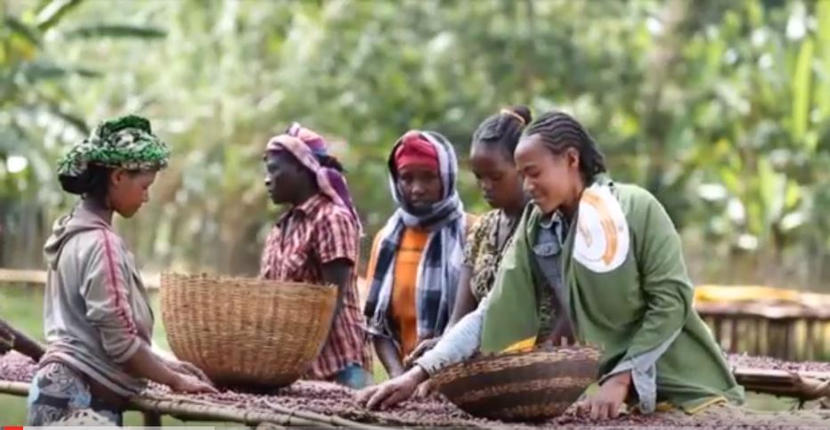 AGP-AMDe Ethiopia video, Feed the Future, USAID