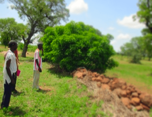 Mali CVC farmers combatting erosion