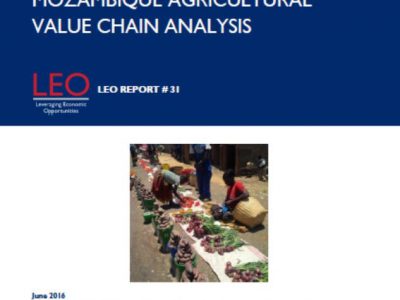 LEO Mozambique Agricultural Value Chain Analysis