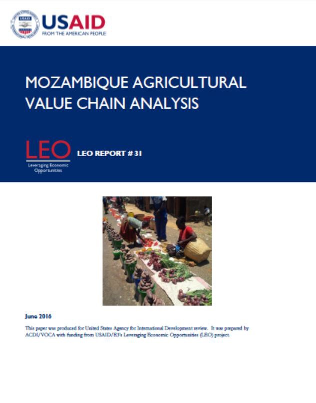 LEO Mozambique Agricultural Value Chain Analysis