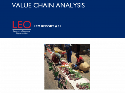 LEO Mozambique VCA report cover