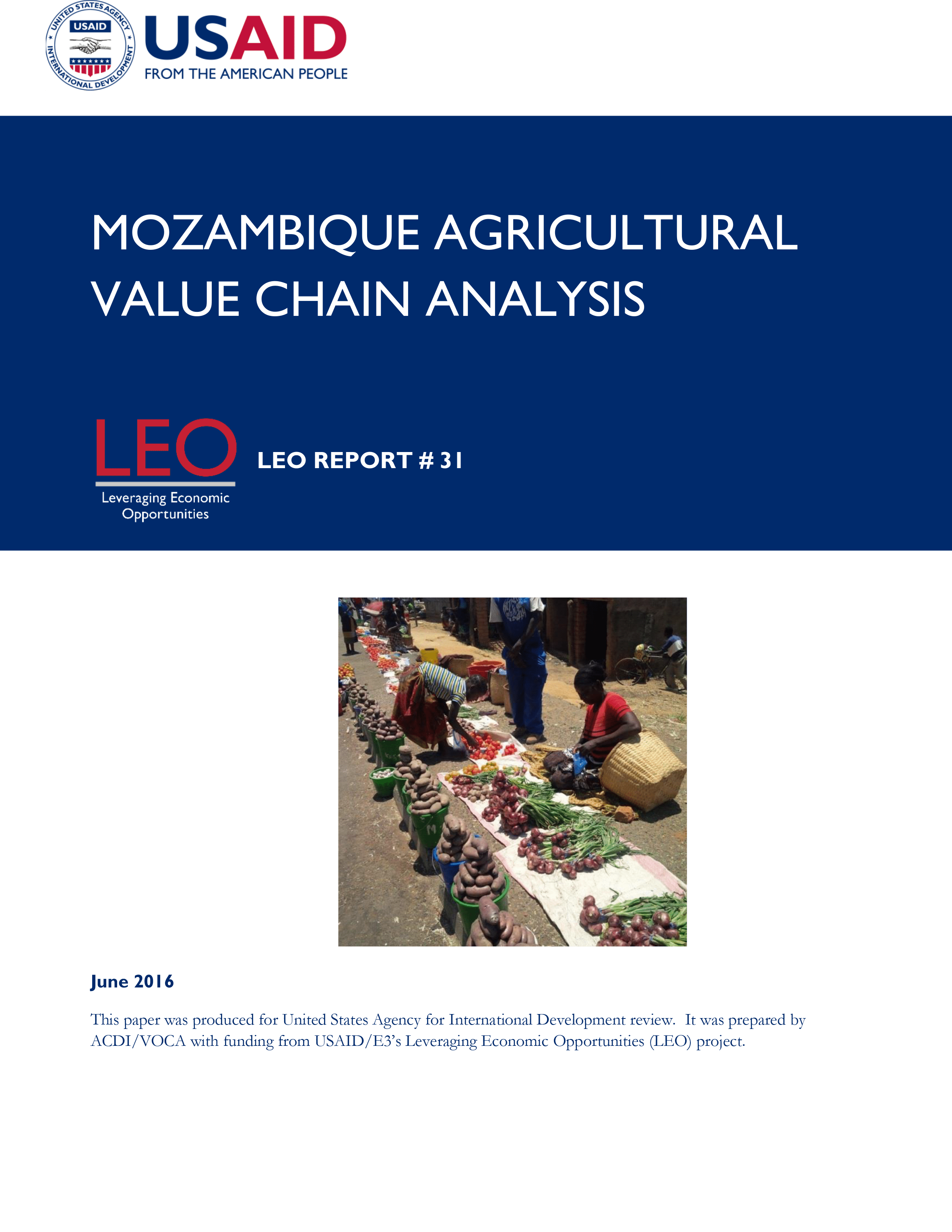 LEO Mozambique VCA report cover
