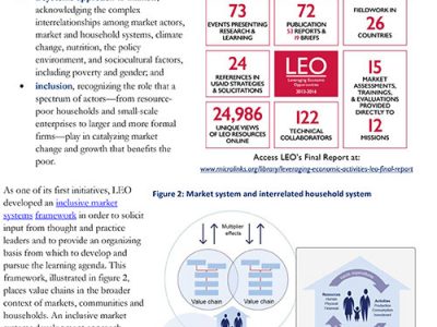 LEO Summary cover