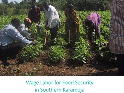 Uganda RWANU labour market analysis