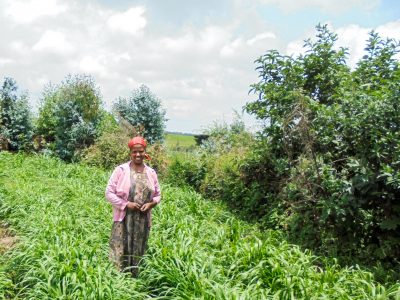 Ethiopia FEED II Woman Farmer Helen
