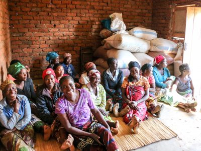 Smallholder farmers in Zambia’s Eastern Province, Profit+
