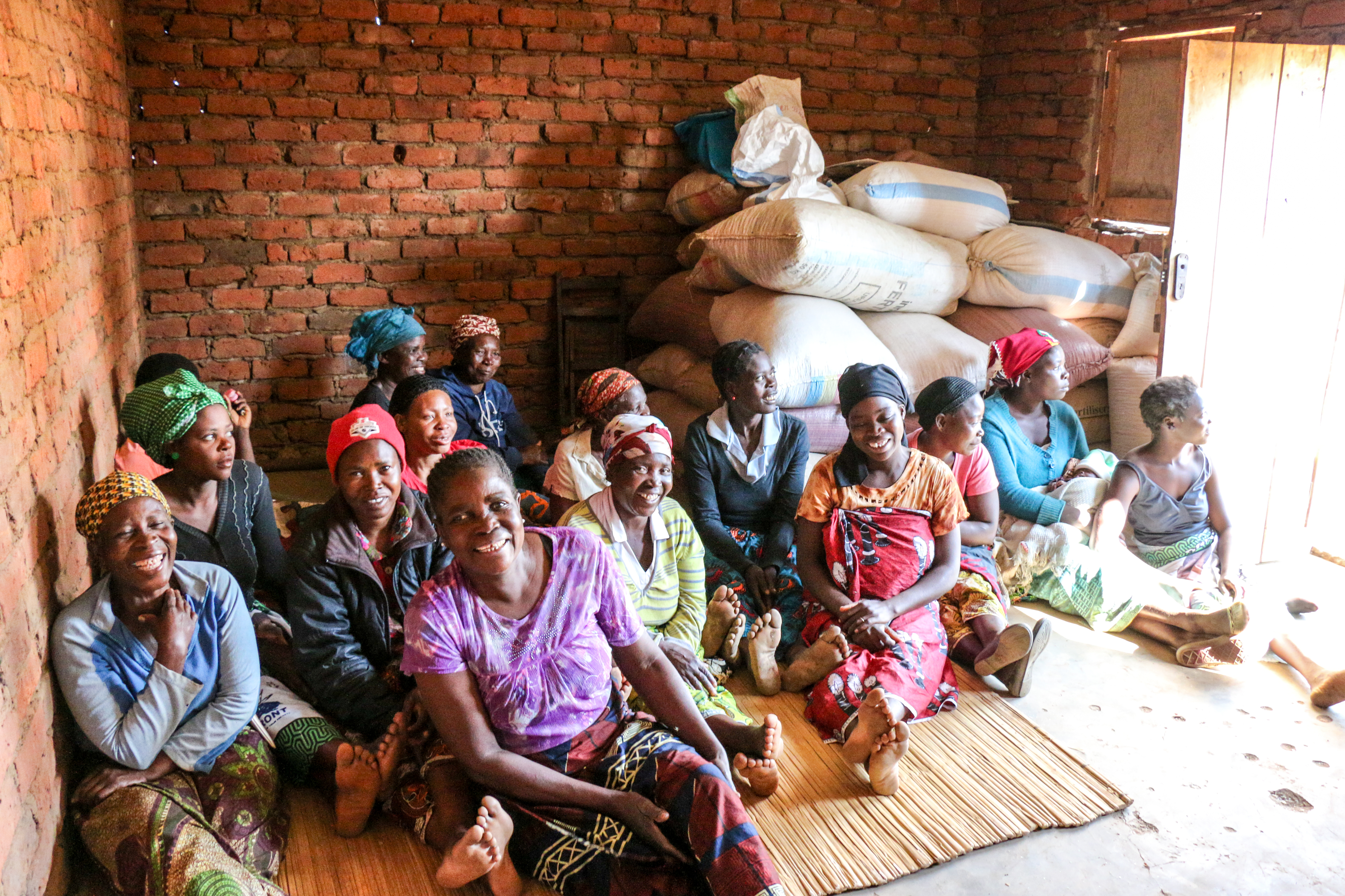 Smallholder farmers in Zambia’s Eastern Province, Profit+