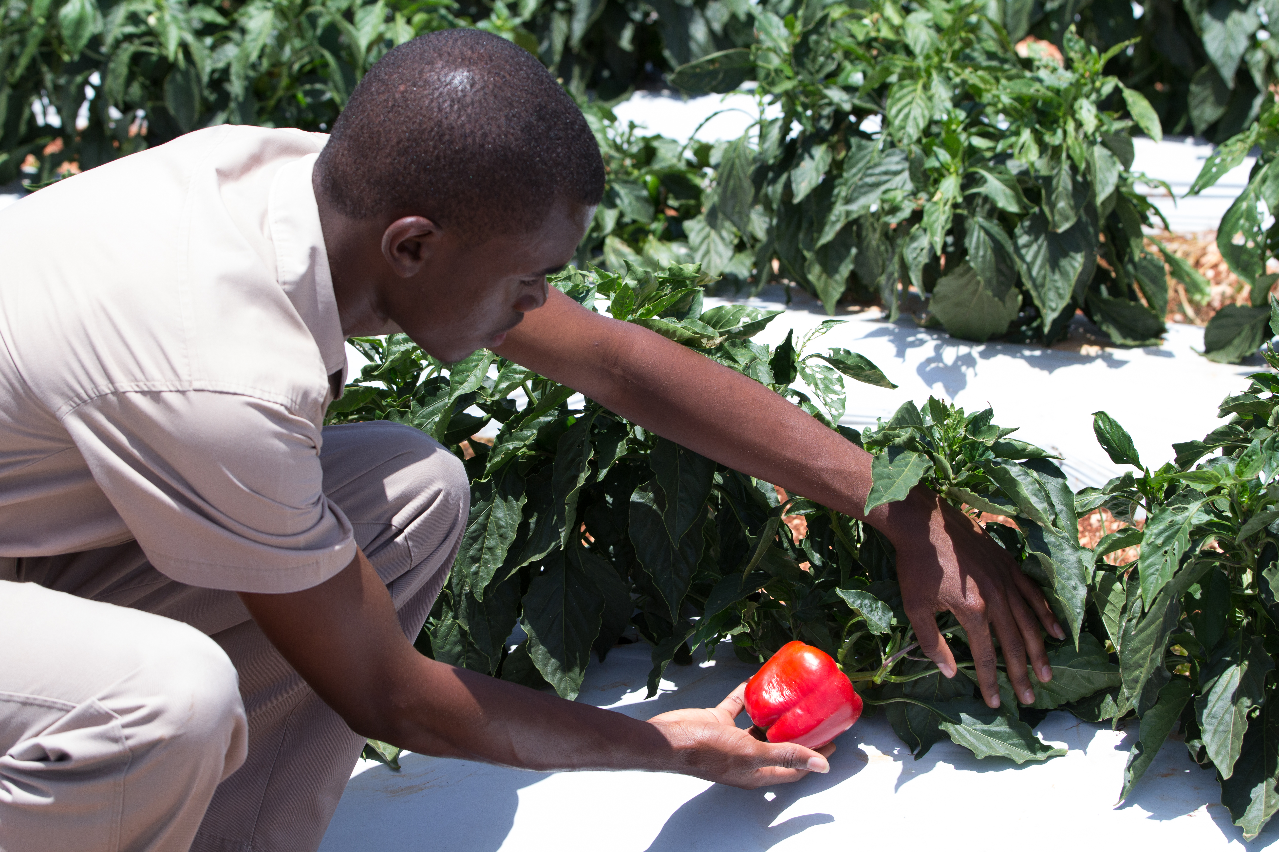 Jamacia Ja REEACH Climate Camp