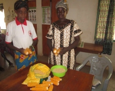 Ghana Feed the Future Volunteer