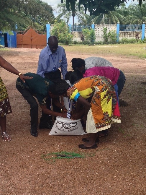 Sierra Leone SNAP farmers using Purdue Improved Crop Storage (PICS) bags to regain food security