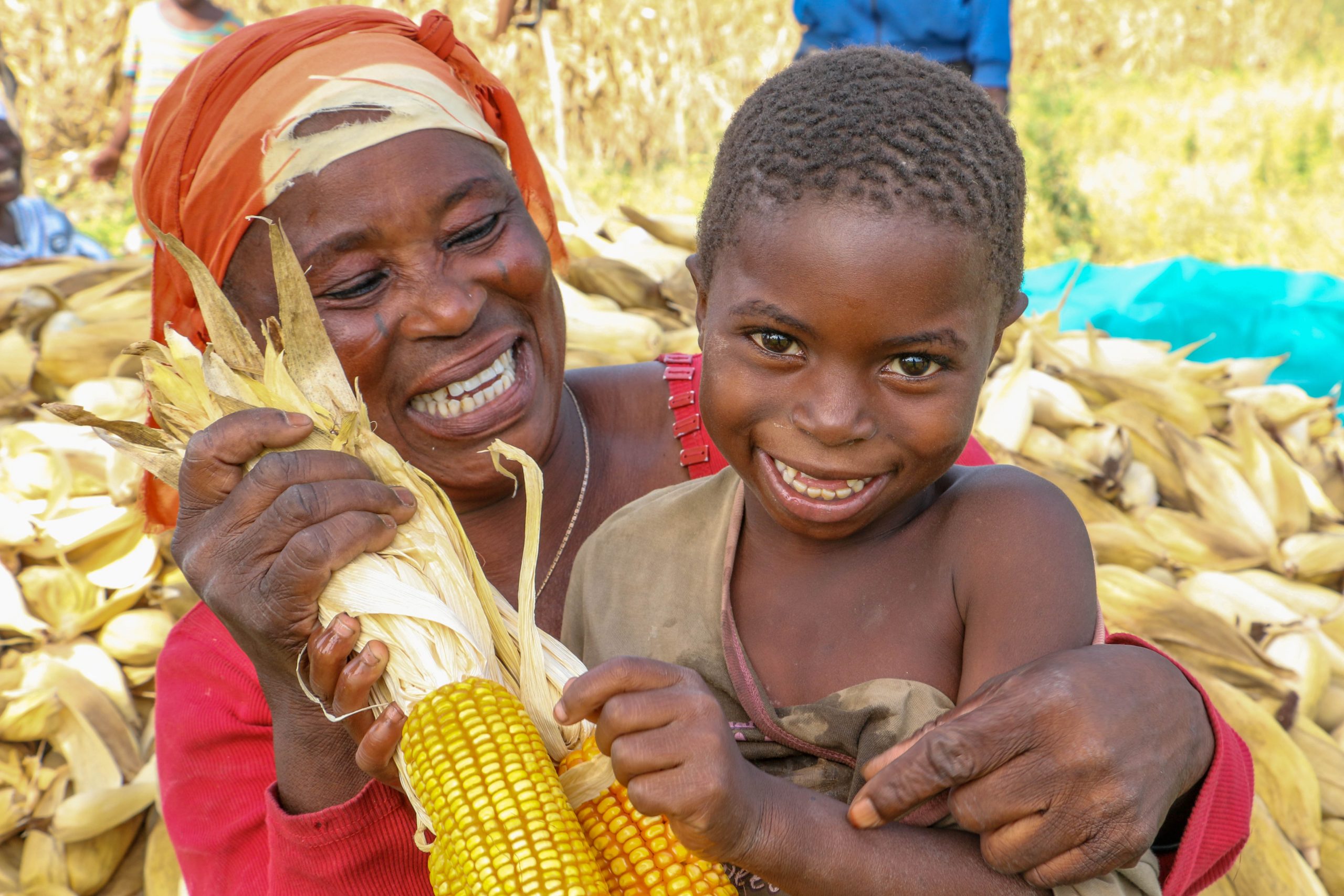 Ghana ADVANCE mother and son at maize harvest