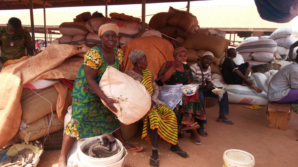 Ghanaian Farmers