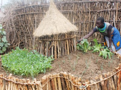Woman working with keyhole gardens in Uganda
