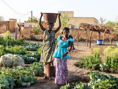 ACDI/VOCA Senegal