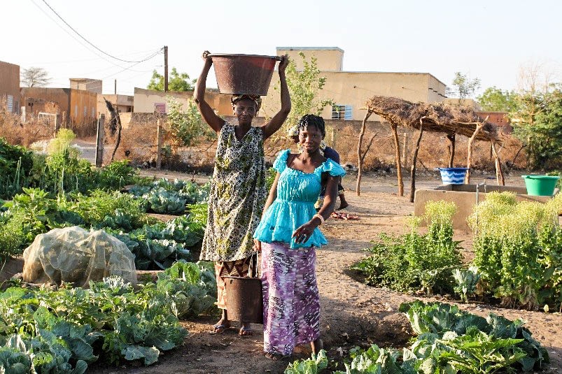 ACDI/VOCA Senegal