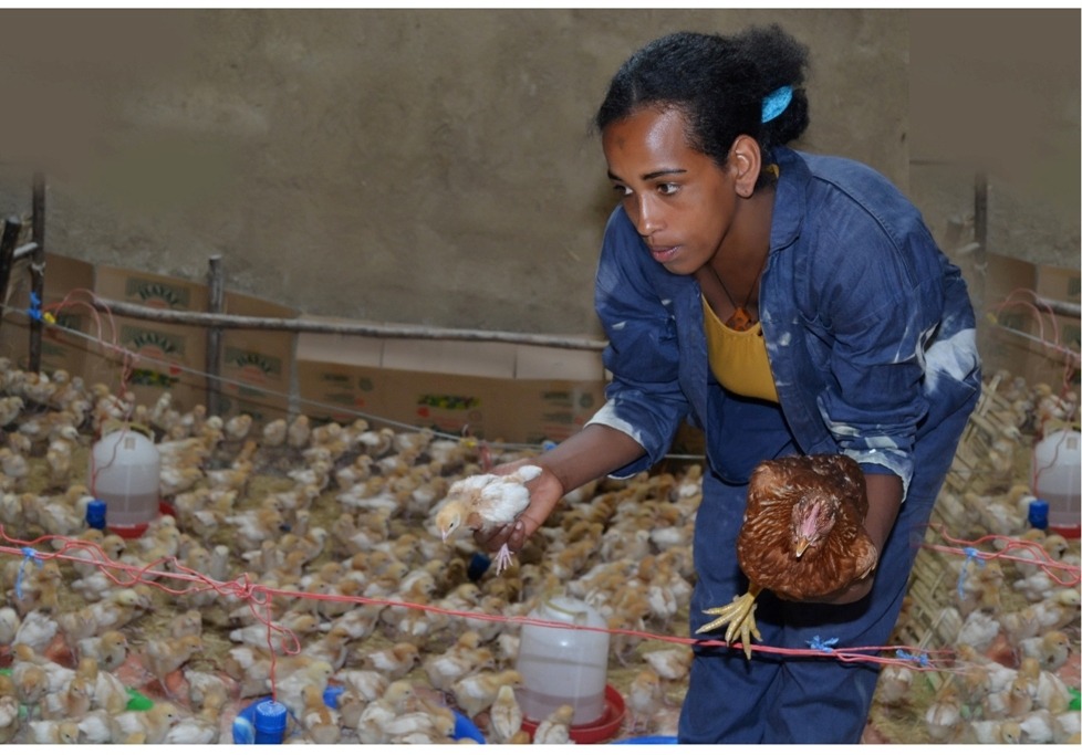 ACDI/VOCA Ethiopia FEED II project participant Yegnanesh