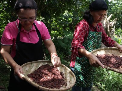 ACDI/VOCA MinPACT Participants Winnowing of Roasted Cacao Beans