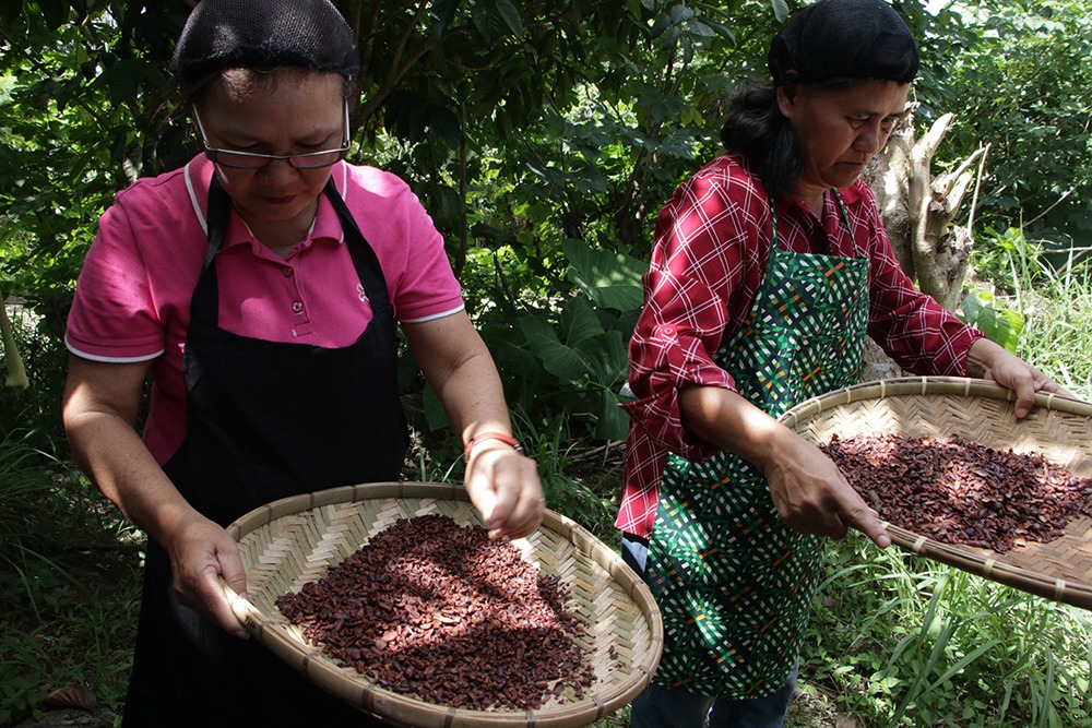 ACDI/VOCA MinPACT Participants Winnowing of Roasted Cacao Beans