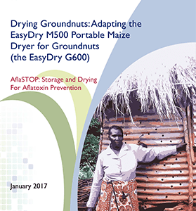 AflaSTOP Drying Groundnuts