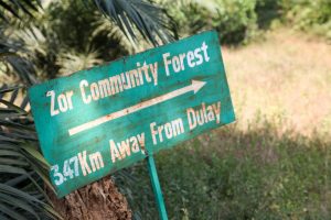 ACDI/VOCA Liberia FIFES Community Forest