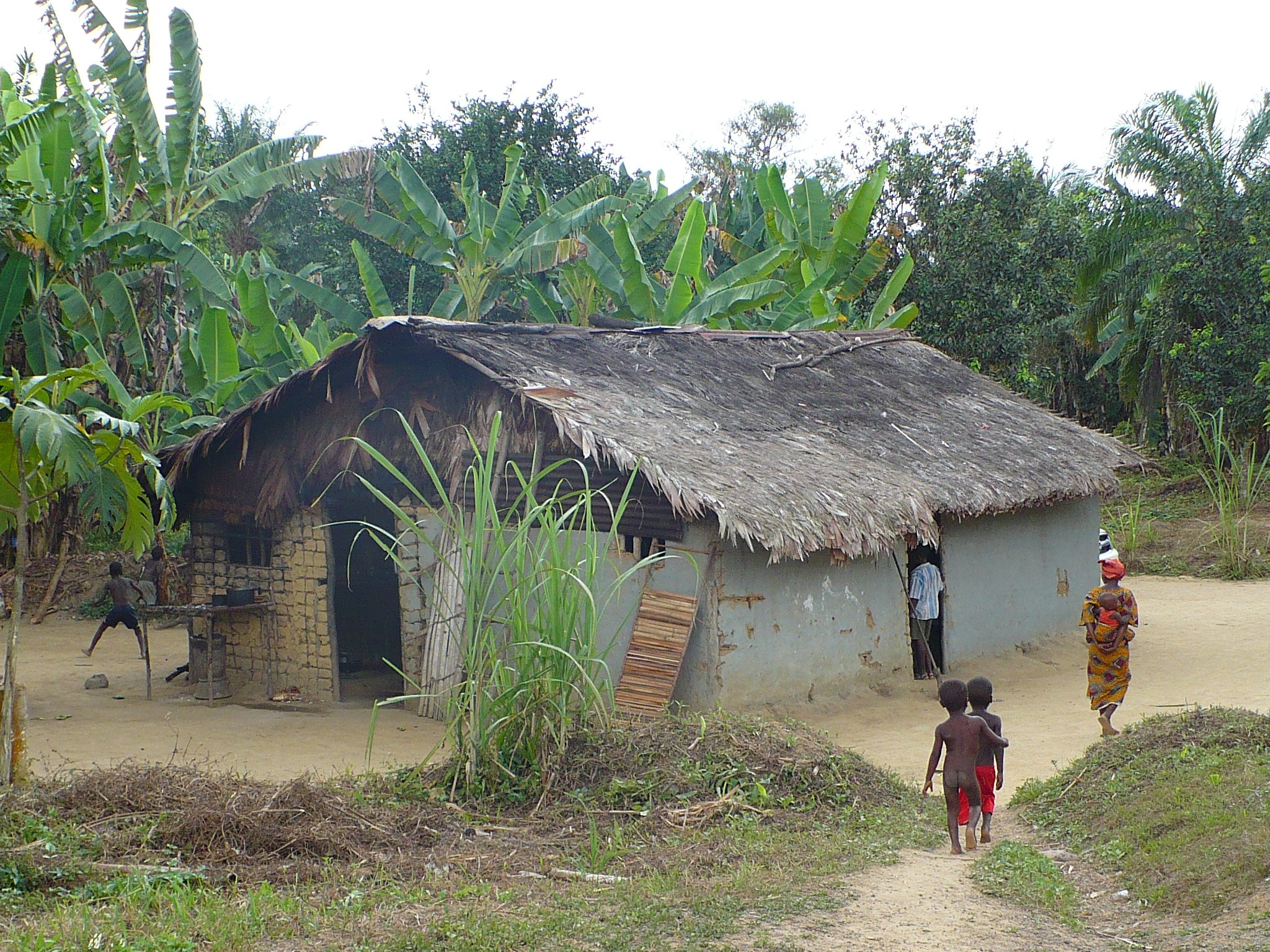 ACDI/VOCA Liberia FIFES Community Forestry as a Business