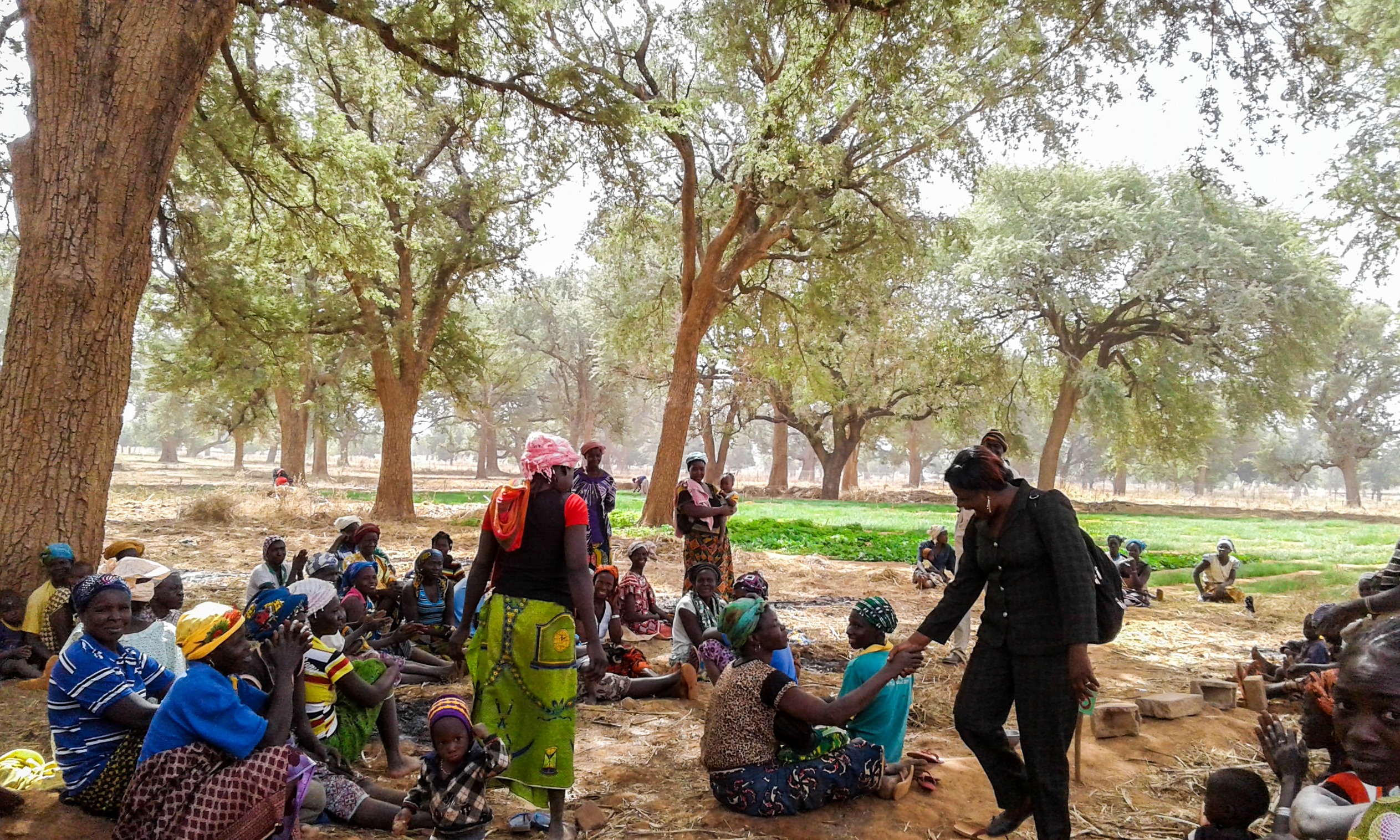 ACDI/VOCA Burkina Faso trees