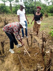 Former Syngenta employee Julia Moore training farmers in Liberia