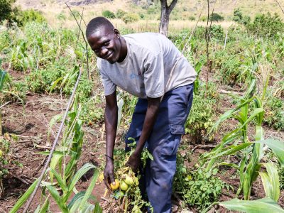 ACDI/VOCA Uganda USAID-funded RWANU youth participant in agricultural field