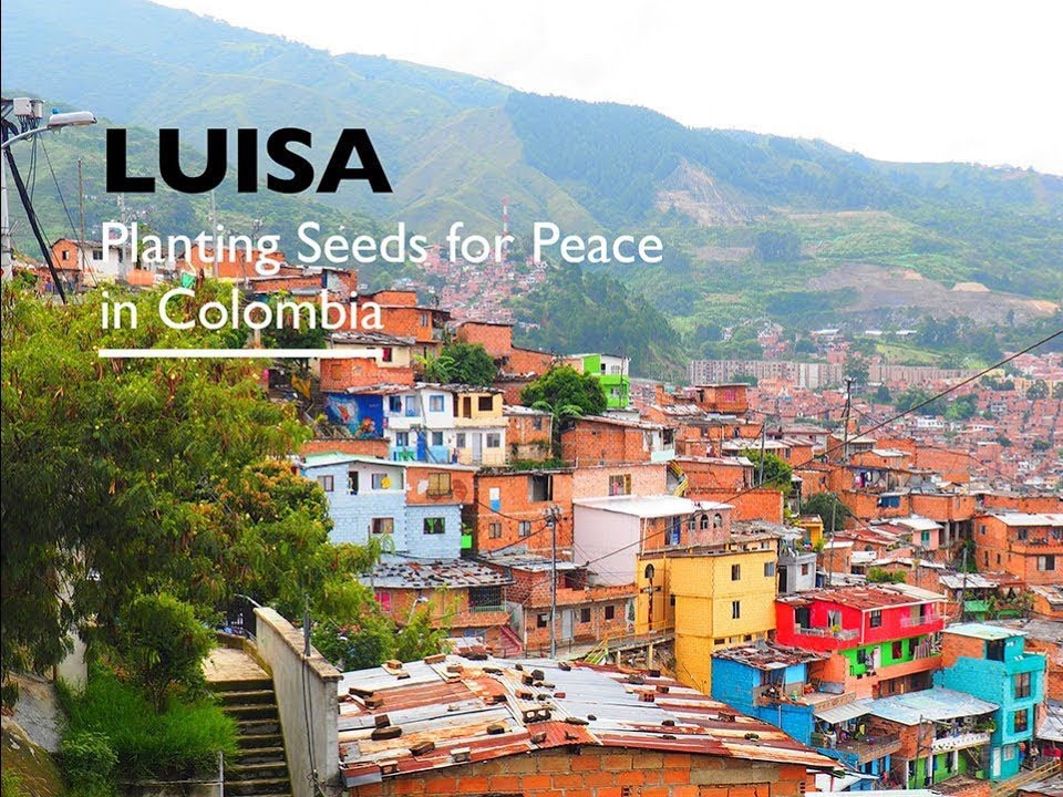 ACDI/VOCA USAID PAR Planting Seeds for Peace in Colombia