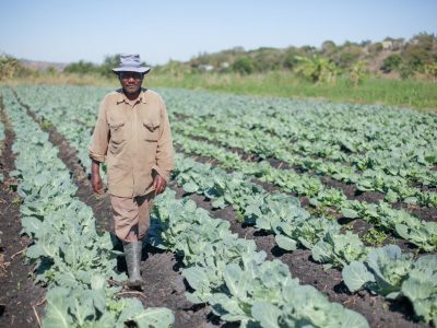 ACDI/VOCA Mozambique LEAD farmer Viralto