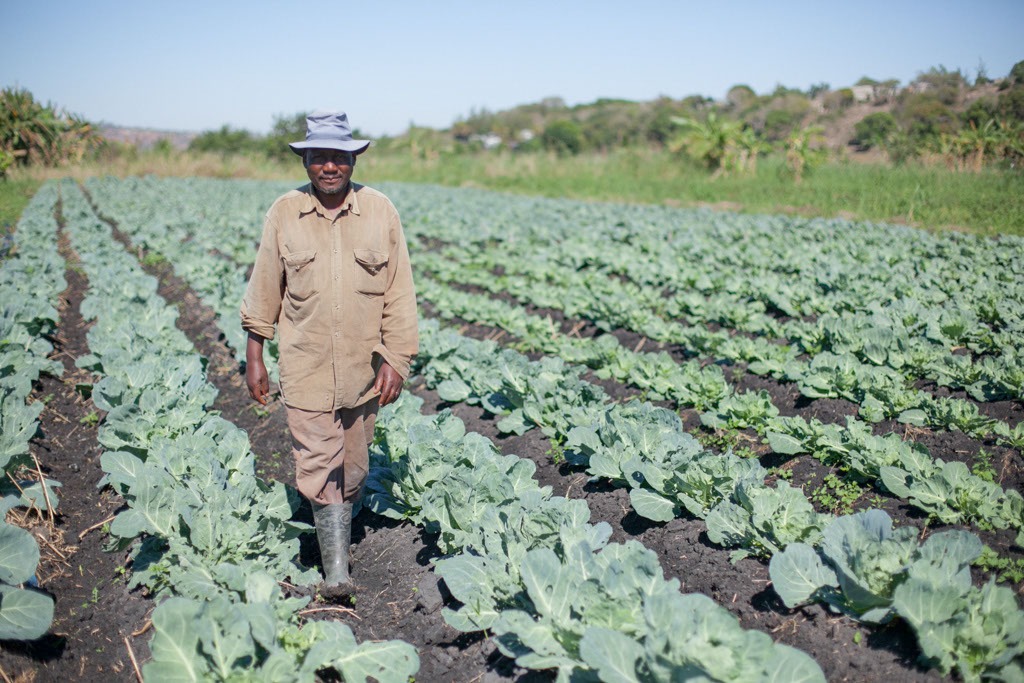 ACDI/VOCA Mozambique LEAD farmer Viralto