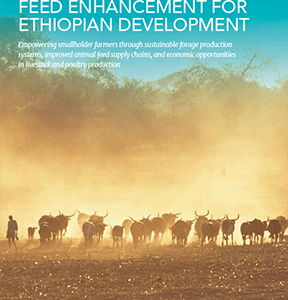 ACDI/VOCA USAID Ethiopia Brochure