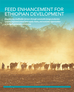 ACDI/VOCA USAID Ethiopia Brochure
